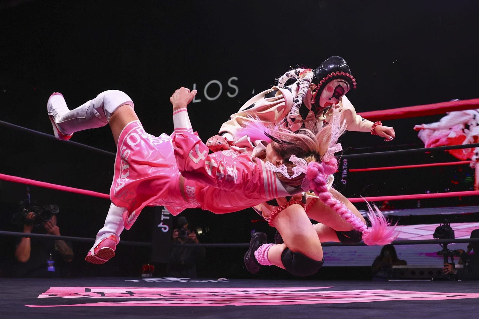 A Brief Chat with Sukeban’s Stray Cat
